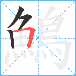 鷠笔顺分解图片4