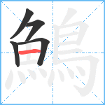 鷠笔顺分解图片5