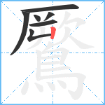 鷢笔顺分解图片7