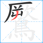 鷢笔顺分解图片8