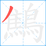 鷦笔顺分解图片1