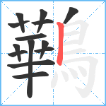 鷨笔顺分解图片14