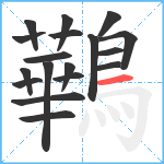 鷨笔顺分解图片18