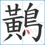 鷬笔顺分解图片21