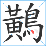 鷬笔顺分解图片22