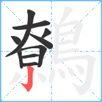 鷯笔顺分解图片10