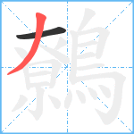 鷯笔顺分解图片2