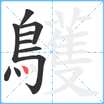 鸌笔顺分解图片10