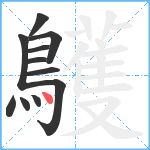 鸌笔顺分解图片11