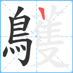 鸌笔顺分解图片12