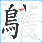 鸌笔顺分解图片13