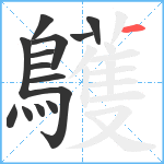 鸌笔顺分解图片14