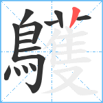 鸌笔顺分解图片15