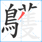 鸌笔顺分解图片16