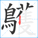 鸌笔顺分解图片17
