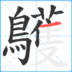鸌笔顺分解图片19