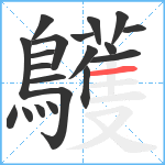 鸌笔顺分解图片20