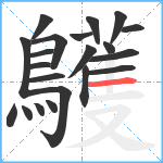 鸌笔顺分解图片21