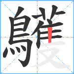 鸌笔顺分解图片22