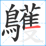 鸌笔顺分解图片23