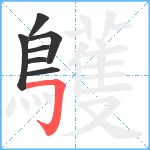 鸌笔顺分解图片7