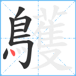 鸌笔顺分解图片9