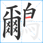 鸍笔顺分解图片19