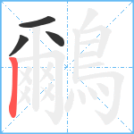 鸍笔顺分解图片4