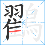 鸐笔顺分解图片12