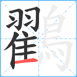 鸐笔顺分解图片14