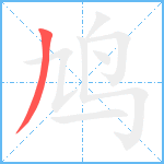 鸠笔顺分解图片1