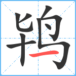 鸨笔顺分解图片9