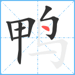 鸭笔顺分解图片8