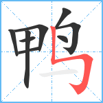 鸭笔顺分解图片9