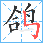 鸽笔顺分解图片10