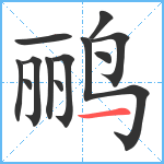 鹂笔顺分解图片12