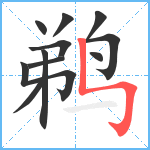 鹈笔顺分解图片11