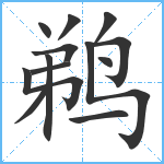 鹈笔顺分解图片13