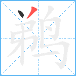 鹈笔顺分解图片2