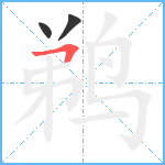 鹈笔顺分解图片3