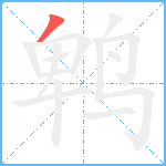 鹎笔顺分解图片1