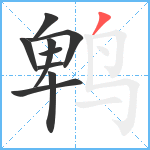 鹎笔顺分解图片9