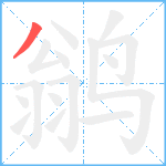 鹟笔顺分解图片1