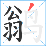 鹟笔顺分解图片11