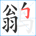 鹟笔顺分解图片12