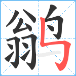 鹟笔顺分解图片14