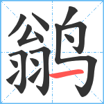 鹟笔顺分解图片15