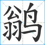 鹟笔顺分解图片16