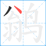 鹟笔顺分解图片2