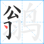 鹟笔顺分解图片6